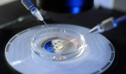 女明星为什么要冻卵 女明星冻卵的好处