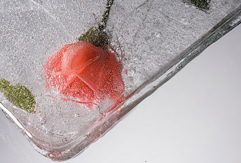 冻卵复苏成功率是多大 冻卵复苏需要多长时间