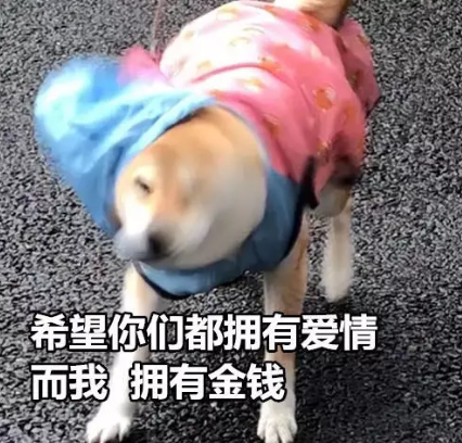 一个人的七夕伤感说说 单身七夕情人节2019 一个人的七夕伤感说说 单身七夕情人节2019