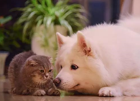 一个人的七夕伤感说说 单身七夕情人节2019 一个人的七夕伤感说说 单身七夕情人节2019