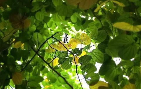 立秋节气朋友圈简单说说 立秋祝福语带图片