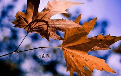 立秋节气朋友圈简单说说 立秋祝福语带图片