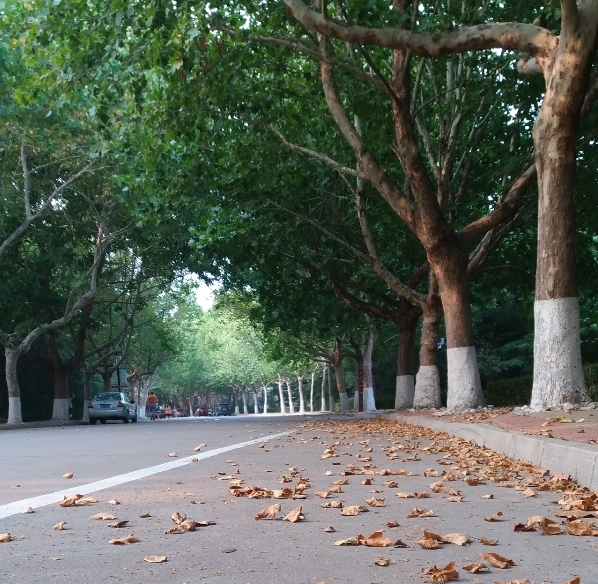 关于立秋的心情感慨 立秋的句子说说怎么发