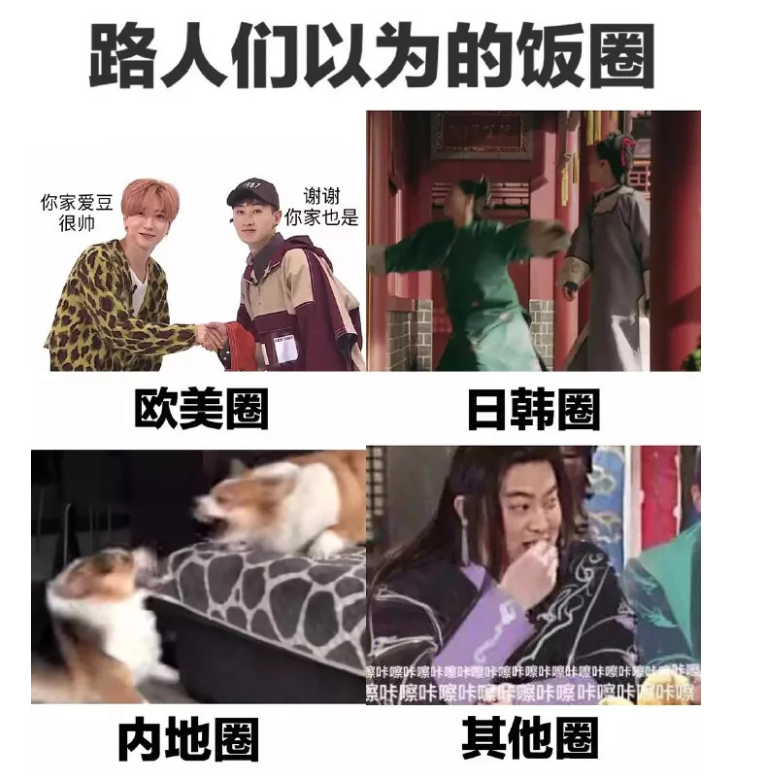 饭圈女孩是什么意思 饭圈女孩到底是什么样的存在