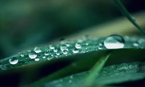 白露后天气还热吗2019 白露后秋老虎还在吗