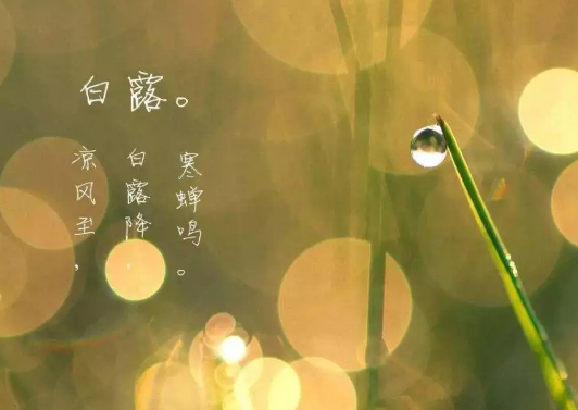2019白露唯美精选祝福语 白露节气朋友圈配图文字