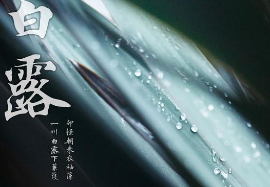 白露节气手抄报图片2019 白露手抄报内容大全