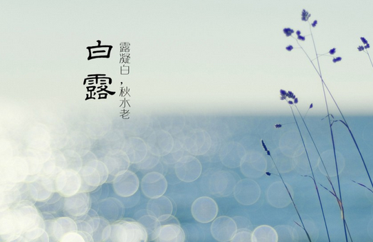 白露三候是什么意思 白露三候的特点