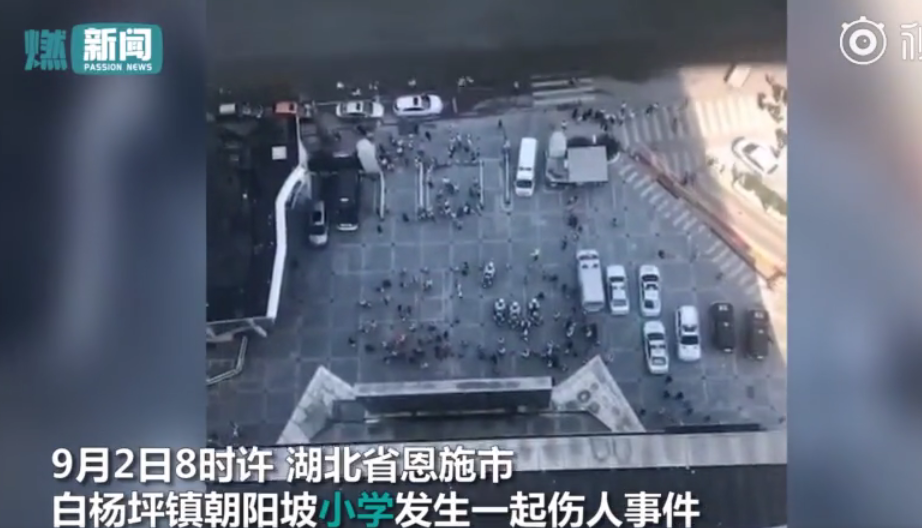 恩施白杨坪镇有十人受伤 恩施白杨坪镇伤人事件什么情况
