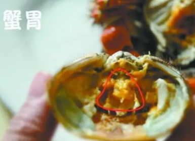 螃蟹哪些部位不能吃图解 螃蟹怎么吃图解