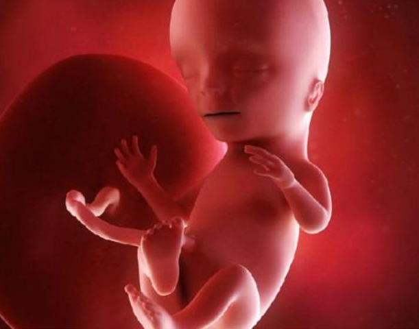 胎儿在子宫里会呼吸吗 宝宝第一次呼吸是什么时候