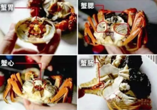 螃蟹哪些部位不能吃图解 螃蟹怎么吃图解