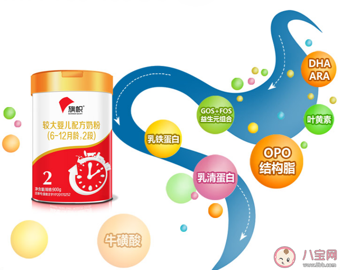君乐宝旗帜奶粉和星飞帆哪款好 君乐宝旗帜奶粉和星飞帆对比