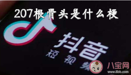 207根骨头是什么意思 207根骨头梗的出处是什么