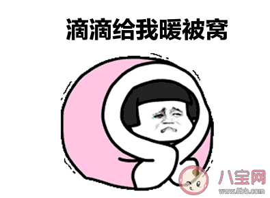 cp滴滴是什么意思 cp滴滴梗的出处是什么