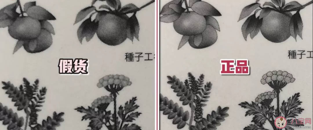芙丽芳丝洗面奶2020真假鉴别 芙丽芳丝洗面奶最新版真假对比