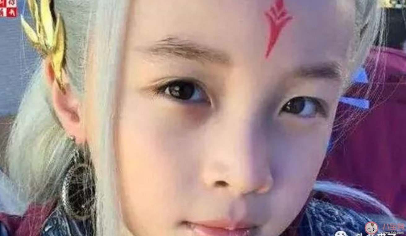 《三生三世枕上书》白滚滚是什么时候有的 《三生三世枕上书》什么时候出生