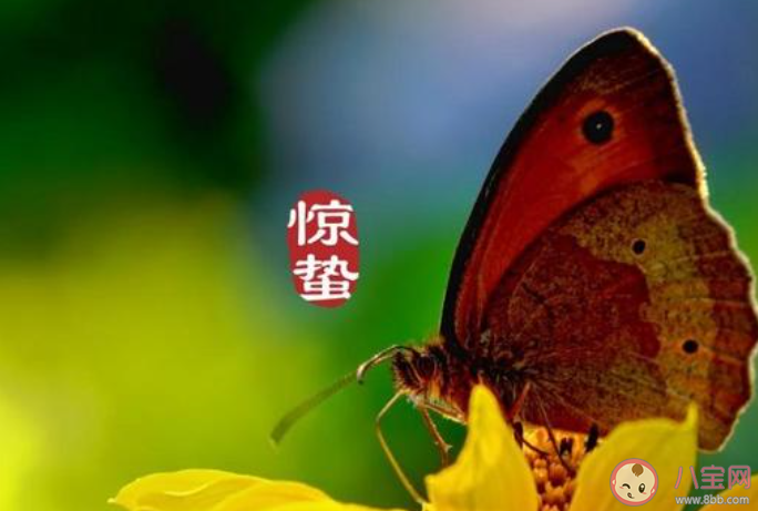 适合惊蛰节气发朋友圈文案说说2021 惊蛰节气的朋友圈说说文案