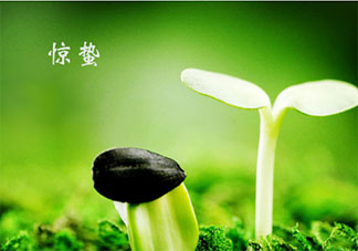 适合惊蛰节气发朋友圈文案说说2021 惊蛰节气的朋友圈说说文案