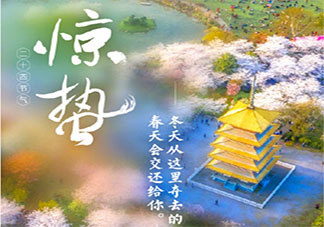 微雨众卉新一雷惊蛰始是什么意思 微雨众卉新一雷惊蛰始出自哪首诗