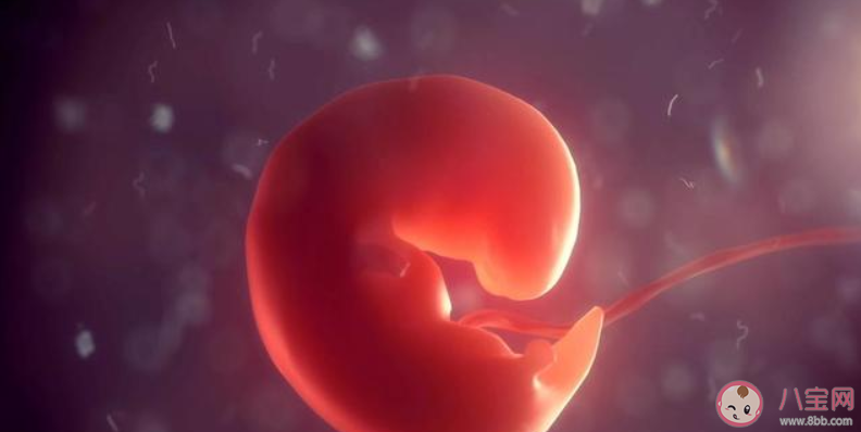 胎心胎芽正常出现的时间是哪一周 胎心胎芽出现早晚时间是什么原因