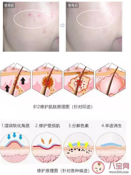 米蓓尔粉水怎么样 米蓓尔粉水成分分析 