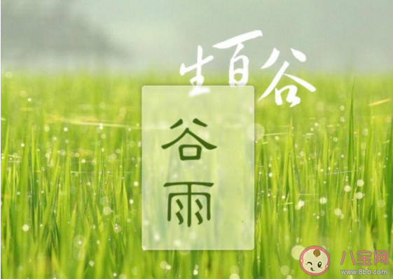 谷雨节气经典农谚顺口溜大全 关于谷雨节气的谚语有哪些 谷雨节气经典农谚顺口溜大全 关于谷雨节气的谚语有哪些