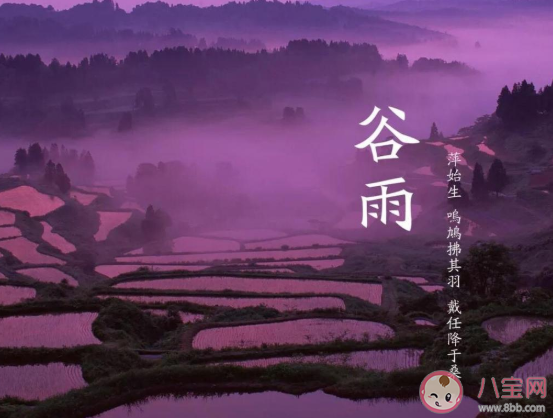 谷雨节气经典农谚顺口溜大全 关于谷雨节气的谚语有哪些 谷雨节气经典农谚顺口溜大全 关于谷雨节气的谚语有哪些