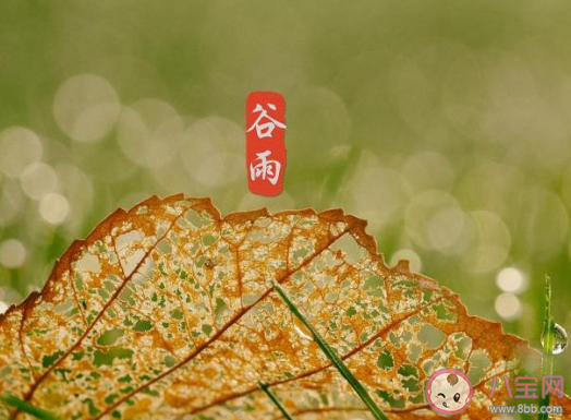 谷雨节气经典农谚顺口溜大全 关于谷雨节气的谚语有哪些 谷雨节气经典农谚顺口溜大全 关于谷雨节气的谚语有哪些