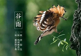 谷雨三候是哪三候 谷雨三候分别是什么意思
