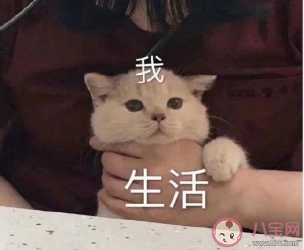 当代成年人为什么喜欢熬夜 年轻人喜欢熬夜原因感受有哪些