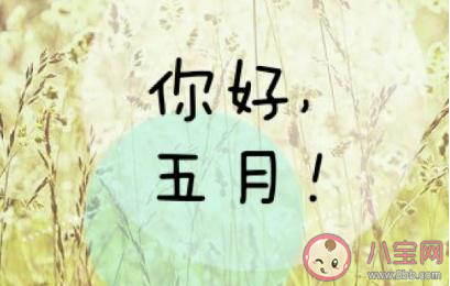 2020五月你好早安心语文案说说 2020五月第一天早安心语说说大全