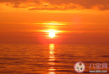 2020五月你好迎接五月的创意文案句子 2020五月来了五月你好的个性说说大全