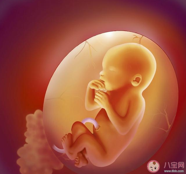 年龄越大越容易出现胎停育吗 胚胎停育后多久才能够再次备孕