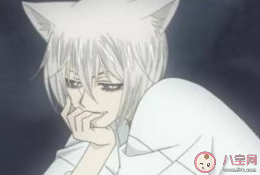 nanami是什么意思抖音 nanami表示什么含义 nanami是什么意思抖音 nanami表示什么含义