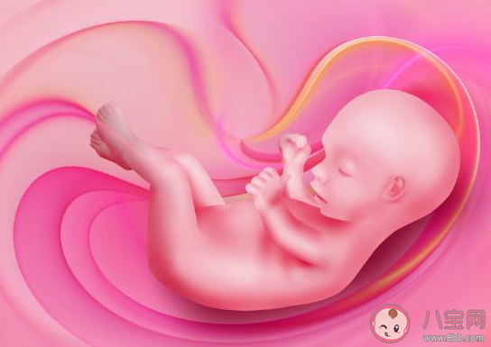 胎儿性别是怎么发育形成的 胎儿性别发育在多少周