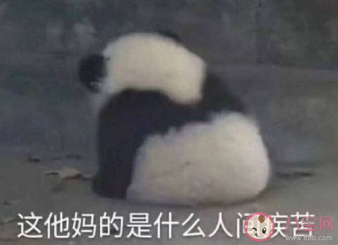 江苏高考同声相应同气相求是什么意思 同声相应同气相求的出处是什么 江苏高考同声相应同气相求是什么意思 同声相应同气相求的出处是什么