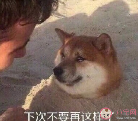 江苏高考同声相应同气相求是什么意思 同声相应同气相求的出处是什么 江苏高考同声相应同气相求是什么意思 同声相应同气相求的出处是什么