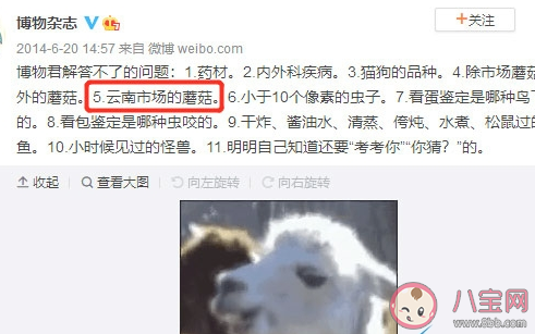 云南人吃蘑菇是什么意思什么梗 云南人吃蘑菇梗的出处是什么