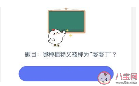 蚂蚁庄园11月30日答案 下列哪种植物又被称为黄花地丁婆婆丁