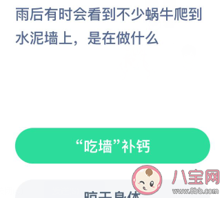 雨后会看到不少蜗牛爬到水泥墙上是在做什么 蚂蚁庄园8月22日答案
