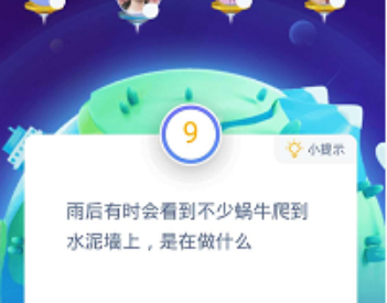 雨后会看到不少蜗牛爬到水泥墙上是在做什么 蚂蚁庄园8月22日答案
