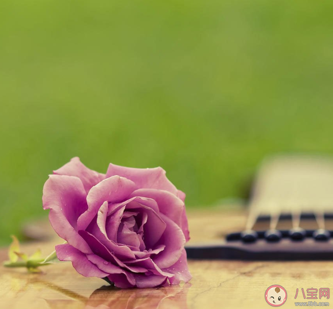 付出却没有回报的朋友圈说说配文 付出没有回报的心情感慨句子 付出却没有回报的朋友圈说说配文 付出没有回报的心情感慨句子