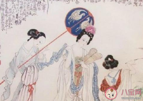 杨贵妃在唐朝能吃到西红柿吗 蚂蚁庄园8月29日答案