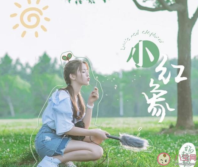 杨超越《小红象》歌词是什么 《小红象》完整版歌词在线听歌