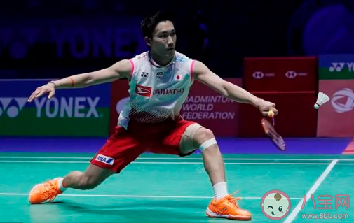 一只羽毛球上通常会有几根羽毛 蚂蚁庄园9月3日答案