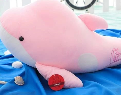 甜甜的可爱的撩小姐姐套路 快速拉进和异性距离的技巧 甜甜的可爱的撩小姐姐套路 快速拉进和异性距离的技巧