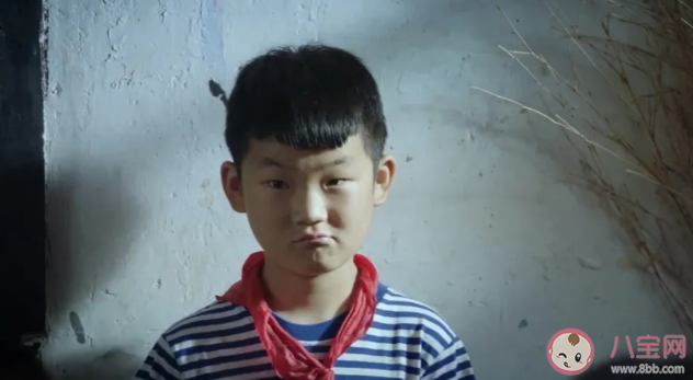 《树上有个好地方》是讲述什么故事 《树上有个好地方》故事简介