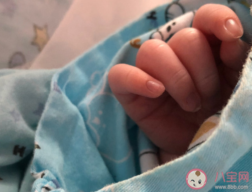 喜得侄女发朋友圈文案句子 晒侄女出生开心感言配图。