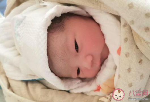 喜得侄女发朋友圈文案句子 晒侄女出生开心感言配图。